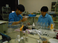 DSCN7244