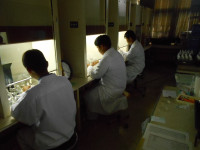 DSCN7415