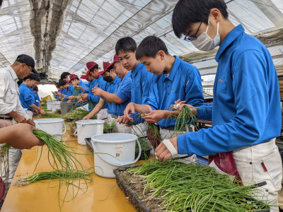 PXL_20251105_012452705