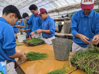 PXL_20251105_012521872