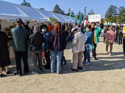 PXL_20251115_004046900