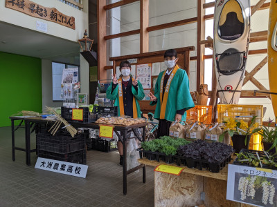 PXL_20251116_020920048