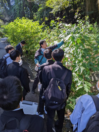 PXL_20251117_030440801