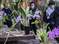 PXL_20251117_032849672.PORTRAIT