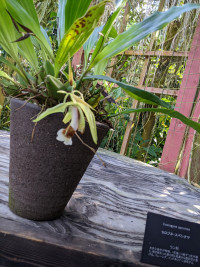 PXL_20251117_033218995