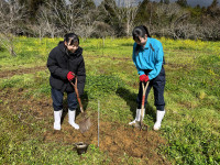 IMG_2405