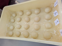 1000013412