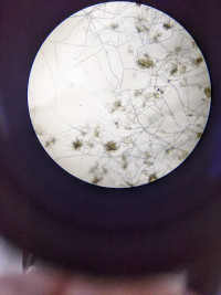 PXL_20260608_032511852.MP